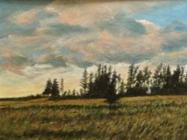 Along TCH. Newfoundland