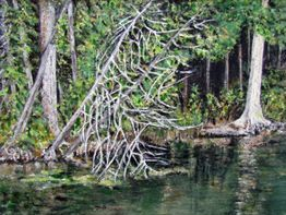 Robertson Lake - Ontario