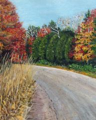 Robertson Lake - Ontario